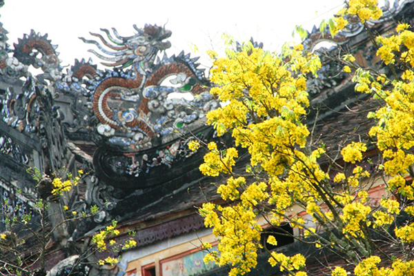 Một góc xuân hoàng cung Huế