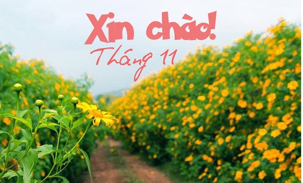 Vé máy bay Vietjet tháng 11