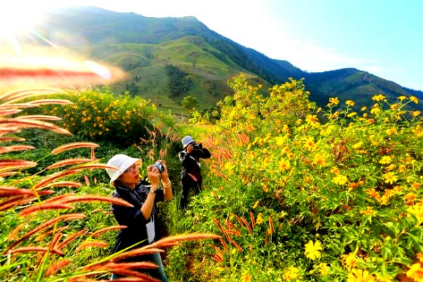 vé máy bay Sài Gòn Pleiku Vietjet