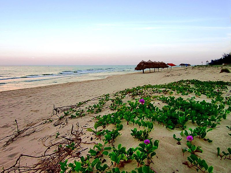 Vé máy bay Tết đi Đồng Hới 