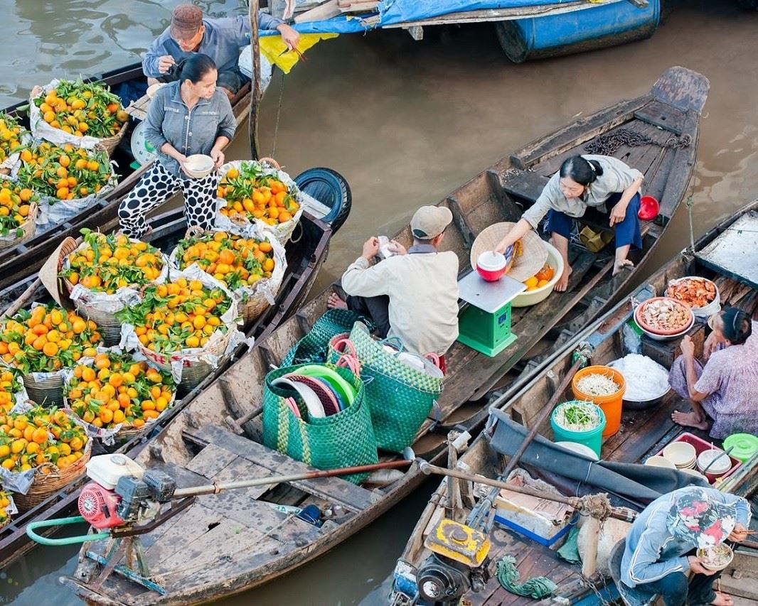 săn vé máy bay giá rẻ tháng 1