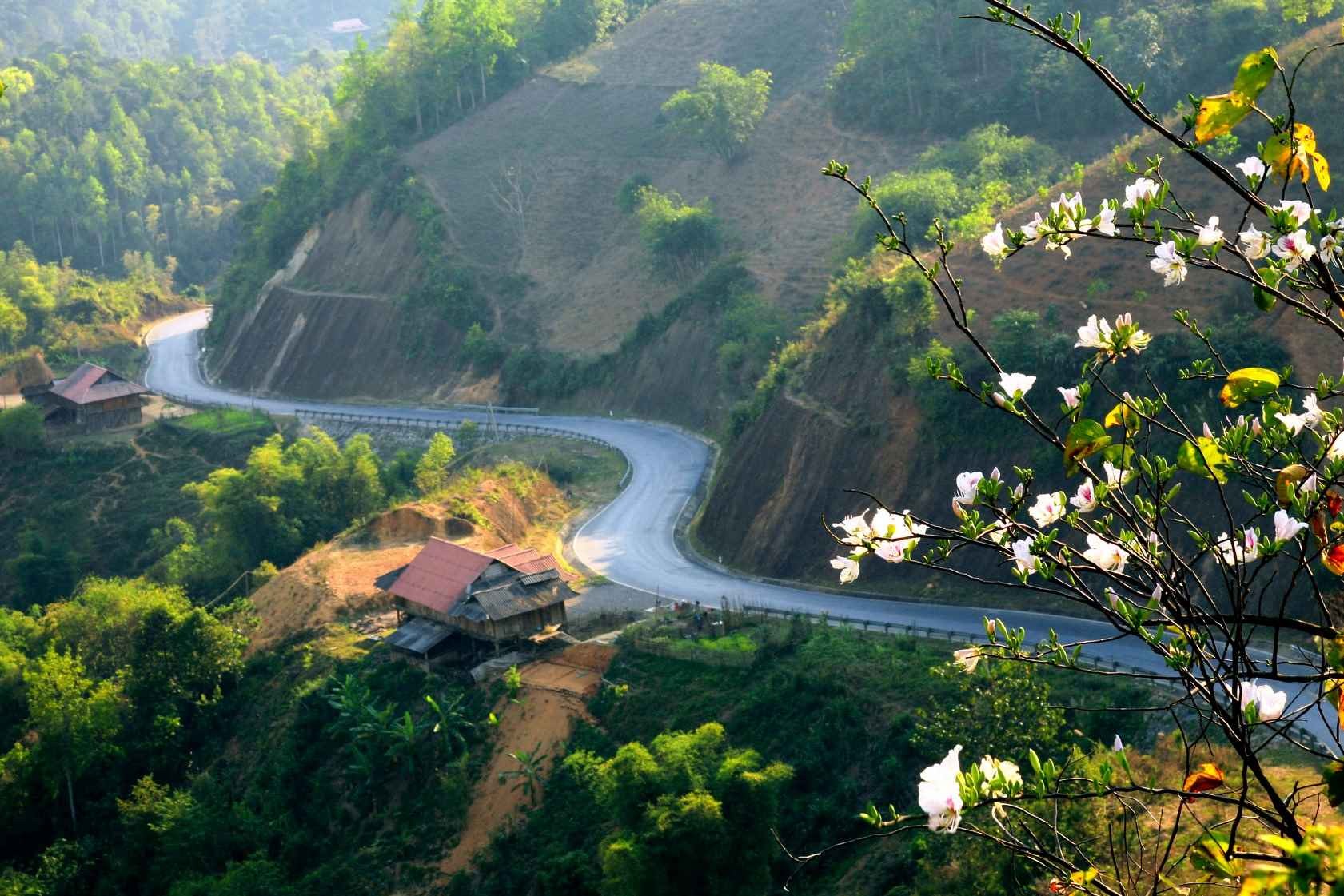 Du lịch Điện Biên mùa hoa ban