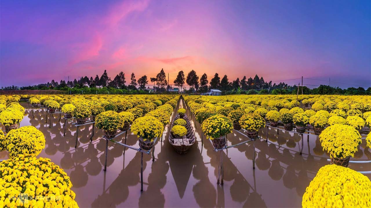 Săn vé máy bay giá rẻ tháng 2
