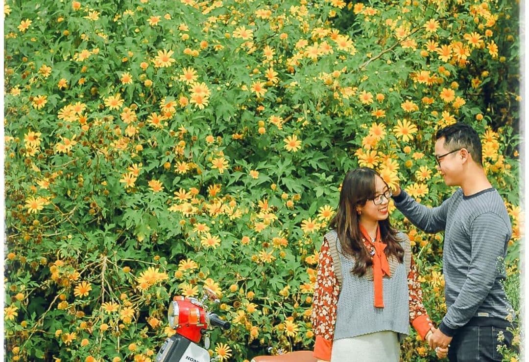 Ngắm mùa hoa dã quỳ Đà Lạt nở rộ khắp các cung đường