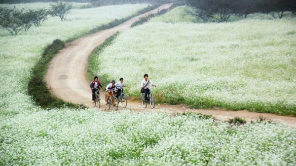 Du lịch Mộc Châu tháng 12