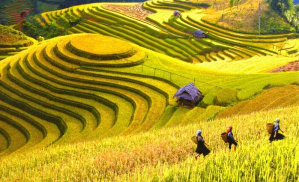 Du lịch Hà Giang mùa nào đẹp nhất?