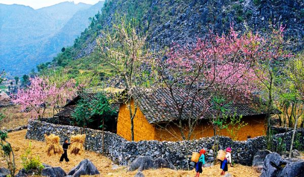 Du lịch Hà Giang mùa nào đẹo nhất?