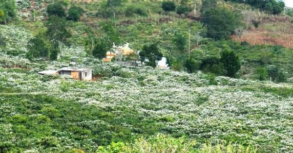 Du lịch Buôn Ma Thuột