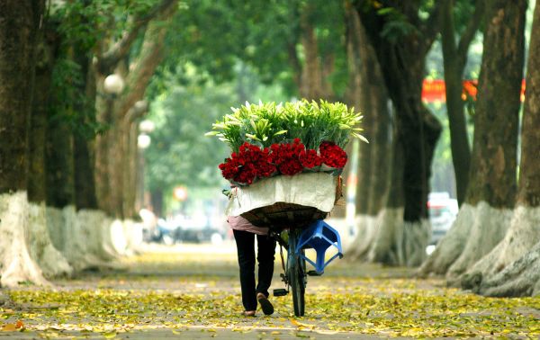 Vé máy bay đi Hà Nội 