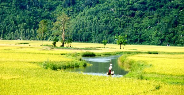 Phú Yên - Xứ sở "hoa vàng trên cỏ xanh"