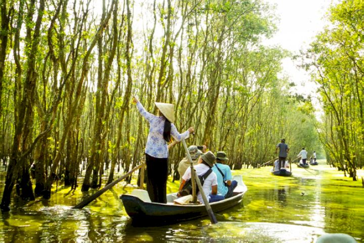 Rừng Tràm tại khu du lịch sinh thái Gáo Giồng